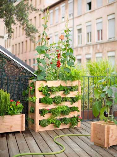 Potager de balcon urbain