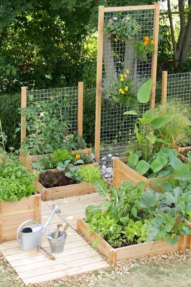 potager urbain décoratif