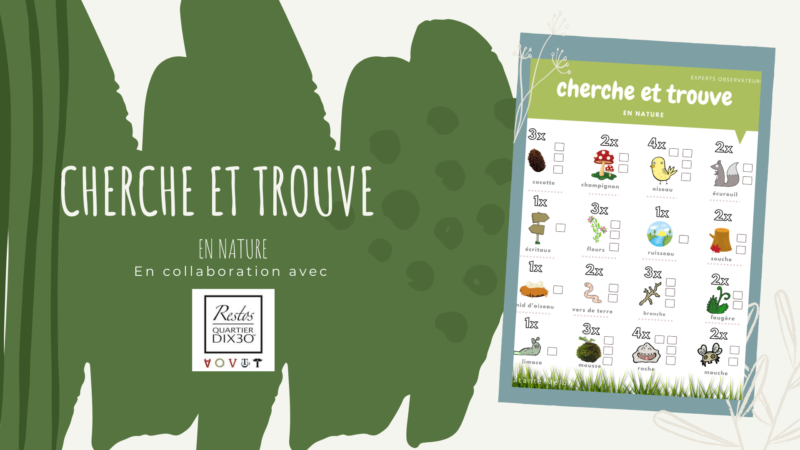 cherche et trouve en nature